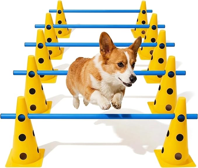 Dog Agility Training Jumping Hoop by mioule