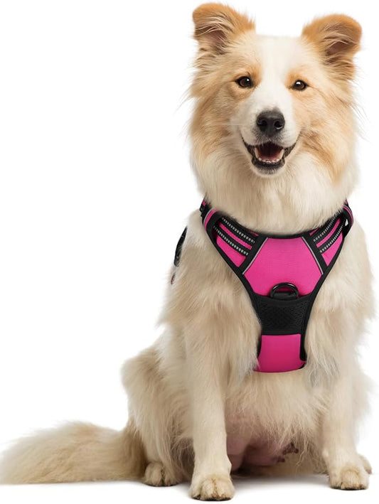 rabbitgoo Dog Harness No Pull by rabbitgoo