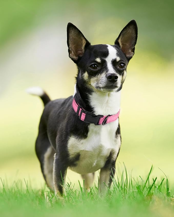 Joytale Reflective Dog Collar, Soft Neoprene Padded, Metal D-Ring, Nylon Pet - Image 6