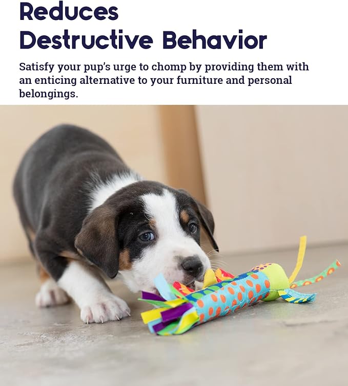 Cool Teething Stick – Puppy Chew Toy - Image 4