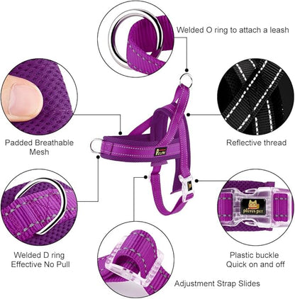 Plutus Pet No Pull Dog Harness - Image 2