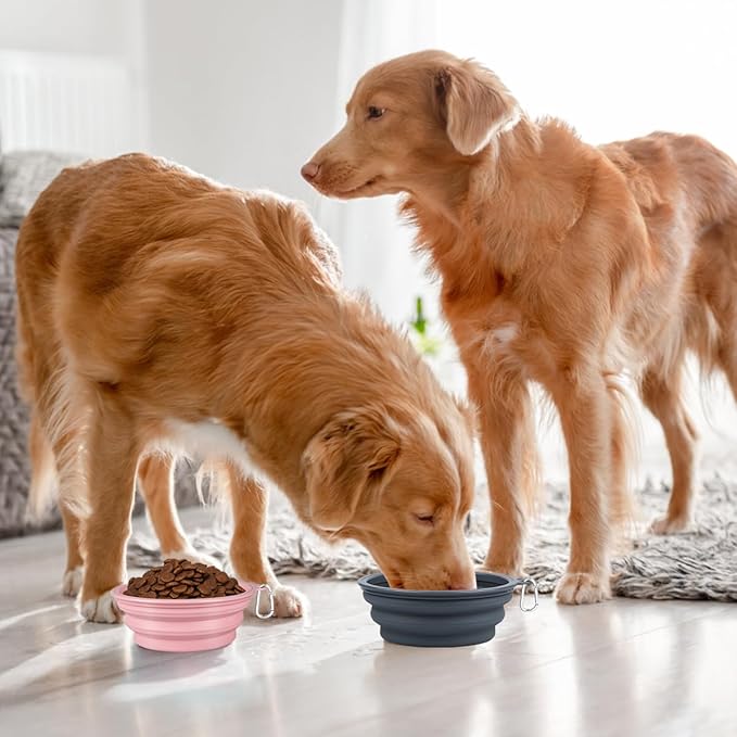 Kytely Collapsible Dog Bowls X-Large, 2 Pack Foldable Travel Bowls, Portable - Image 9
