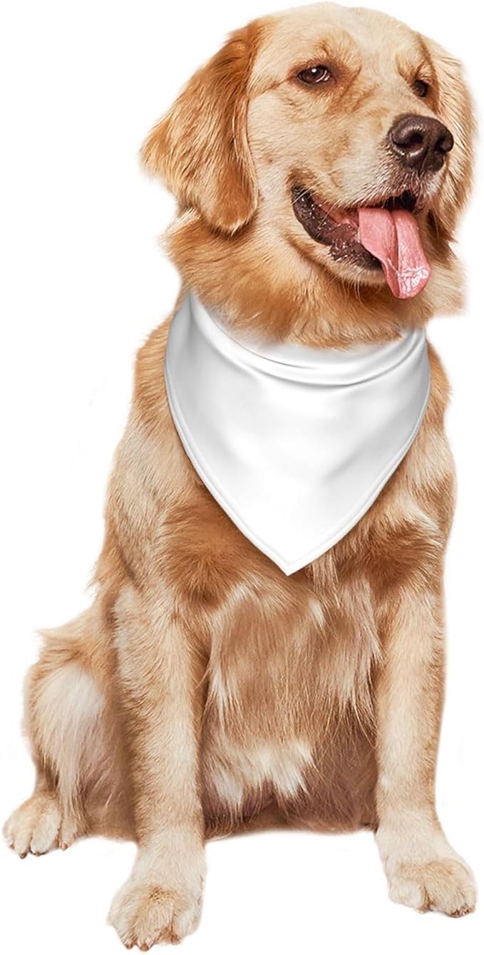 Personalized Dog Scarf Add Your Design Custom Dog Bandanas - Image 2