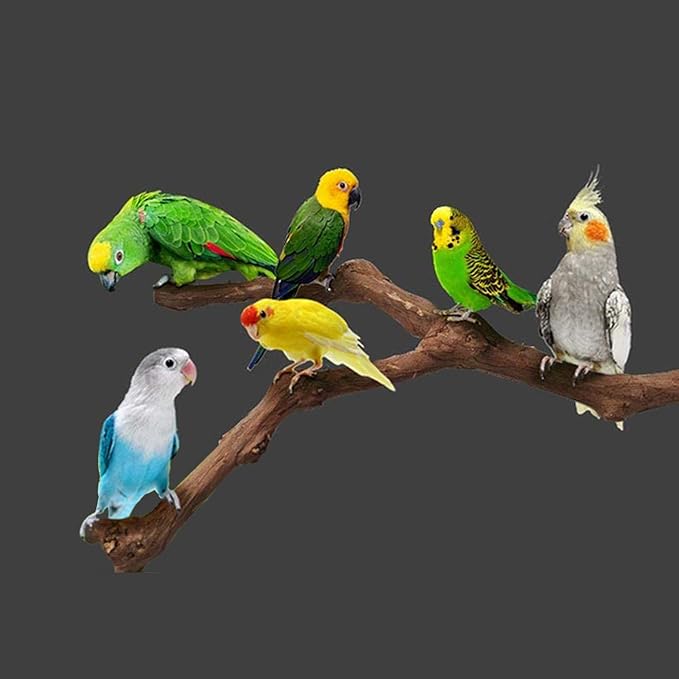 5 PCS Natural Grape Stick Perch Swing Chewing Toys - Image 4