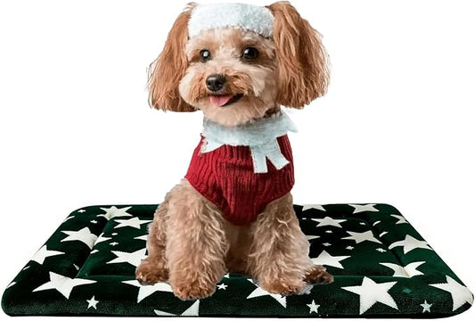 Dog Bed Mat, Reversible Dog Crate Pad by FogkissComfyPawsHome