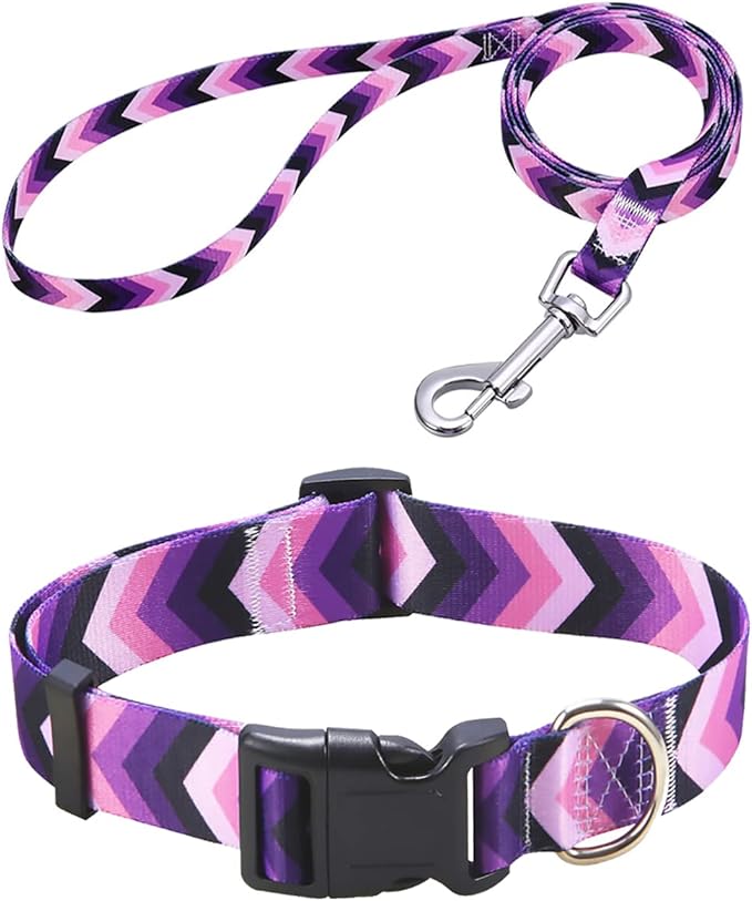 Mihqy Dog Collar and Leash Set by Mihqy