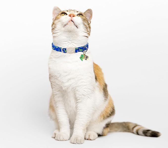 Cat Collar, Pretty Ocean Kitten Collars - Image 5