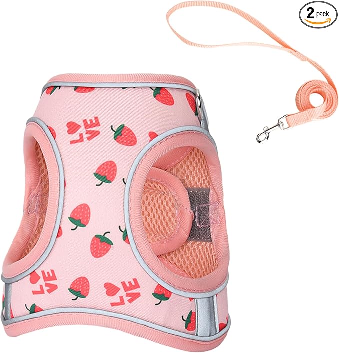 Step in Dog Harness and Leash Set, Flower Adjustable Easy Walk Puppy Harnesses by Flymind