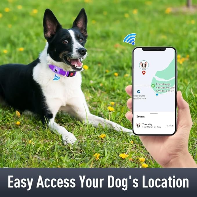 AirTag Dog Collar with AirTag Holder Compatible - Image 2