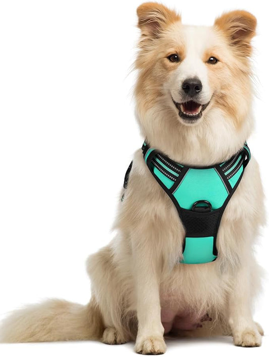rabbitgoo Dog Harness No Pull by rabbitgoo