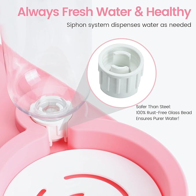 Double Elevated Dog Cat Food Water Bowls, Stainless Steel Cat Food Water Bowl - Image 6