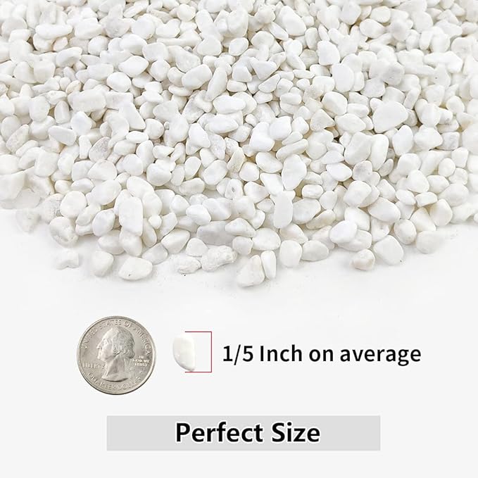 YISZM 10LB Succulent and Cactus Gravel, 1/5 Inch White Natural Decorative - Image 2