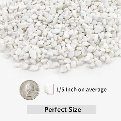 YISZM 10LB Succulent and Cactus Gravel, 1/5 Inch White Natural Decorative - Image 2