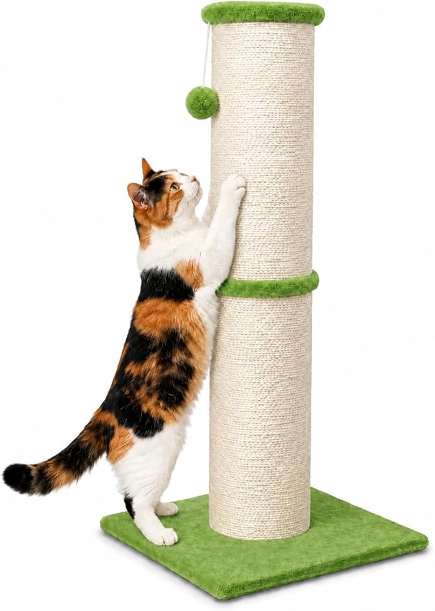 PAWSCRAT Cat Scratching Post 32 Inch High, 5.5 Inch Large Diameter Natural by PAWSCRAT