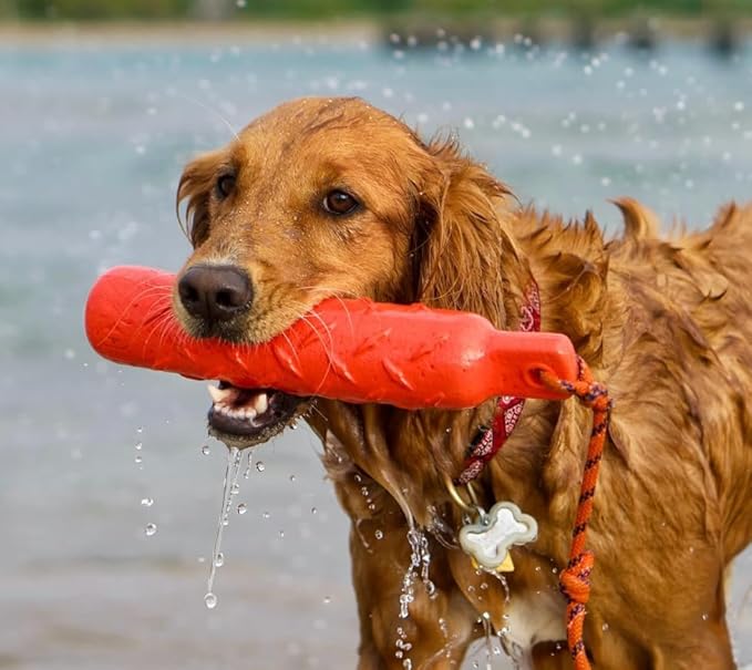 KONG Training Dummy Rope Bumper Dog Toy - Image 2