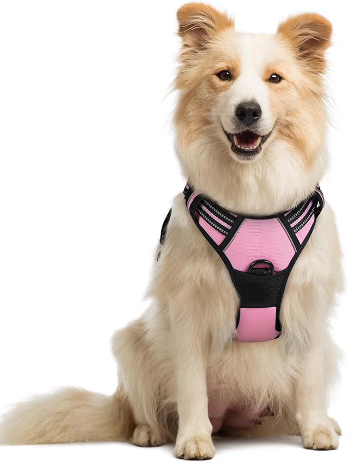 rabbitgoo Dog Harness No Pull by rabbitgoo