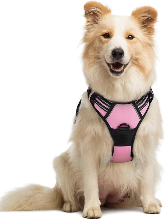rabbitgoo Dog Harness No Pull by rabbitgoo