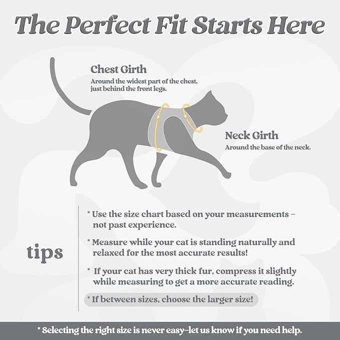 rabbitgoo Cat Harness and Leash, Step-in Escape Proof Kitten Harness Set - Image 2