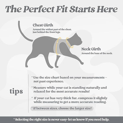 rabbitgoo Cat Harness and Leash, Step-in Escape Proof Kitten Harness Set - Image 2