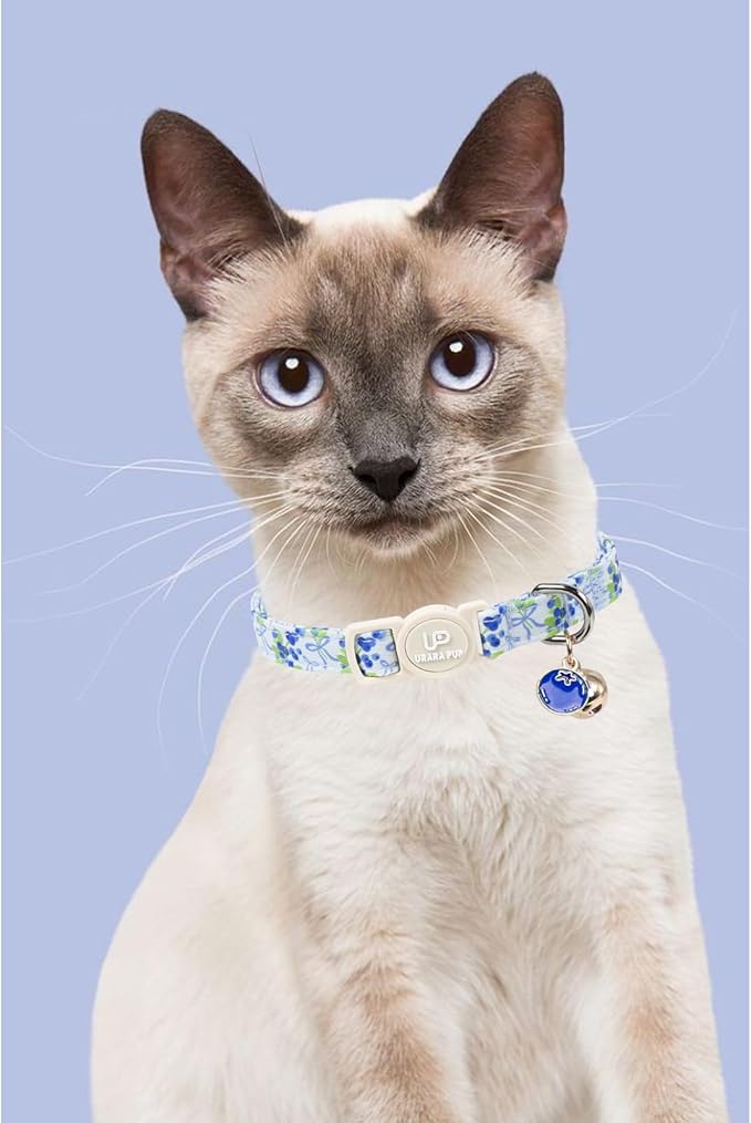 Cat Collar, Cat Collar with Bell, - Image 5