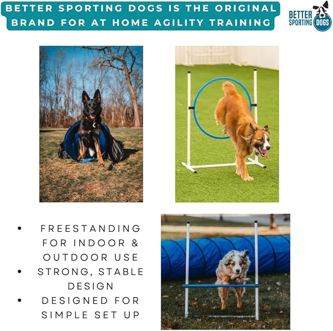 Better Sporting Dogs 3 Piece Essential Dog Agility Equipment Set | Agility Jump - Image 7