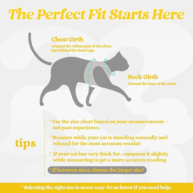 rabbitgoo Cat Harness and Leash, Step-in Escape Proof Kitten Harness Set - Image 2