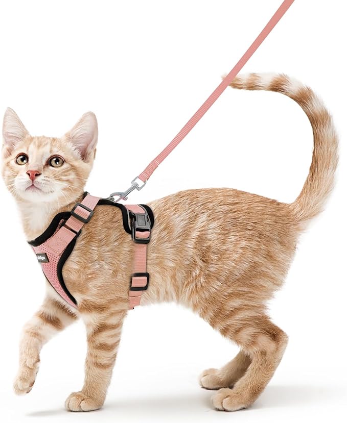 rabbitgoo Cat Harness and Leash Set, Escape Proof Kitten Harness by rabbitgoo