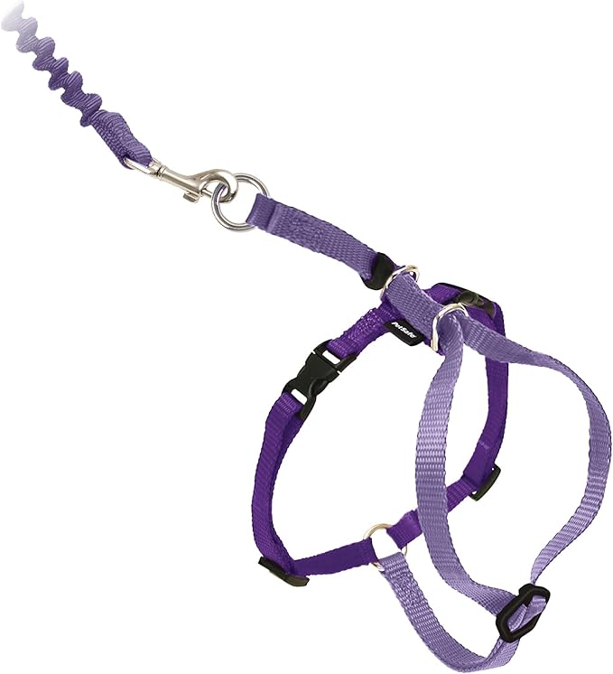 PetSafe Come with Me Kitty Harness and Bungee Leash Adjustable, Lightweight by PetSafe