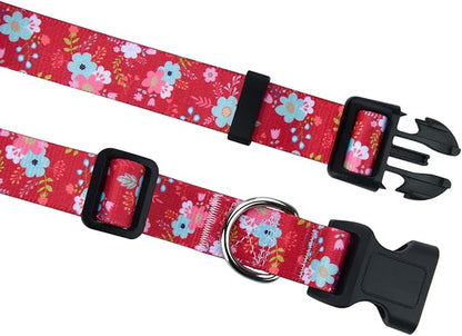 Mihqy Dog Collar and Leash Set - Image 3