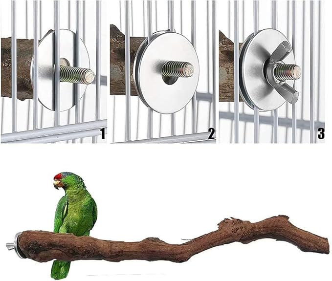 Natural Parrot Perch Wild Grape Stick Bird Standing Pole Claw Grinding Fork - Image 6