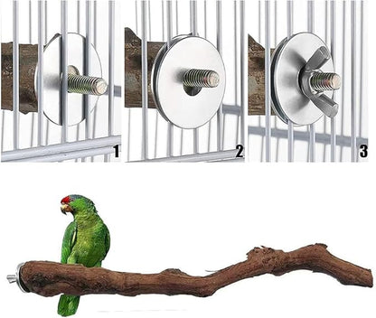 Natural Parrot Perch Wild Grape Stick Bird Standing Pole Claw Grinding Fork - Image 6