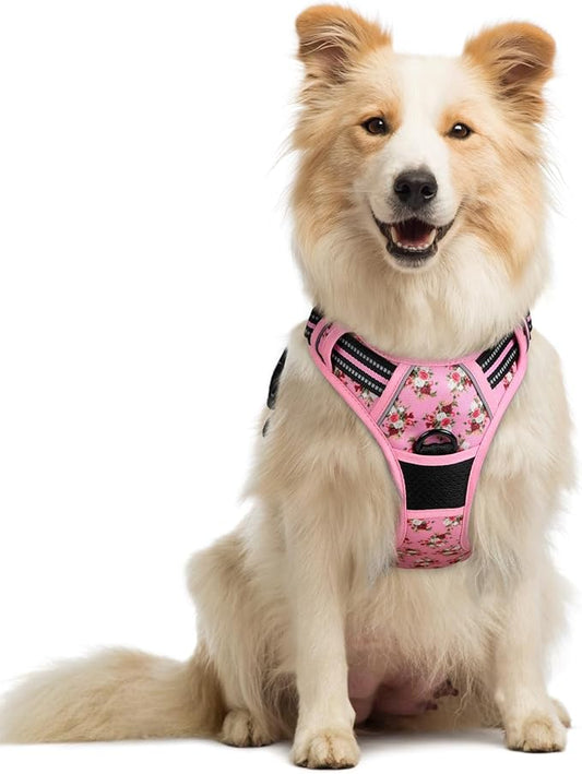 rabbitgoo Dog Harness No Pull by rabbitgoo