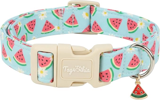 Summer Dog Collar, Cute Light Blue Puppy Collar by Unknown