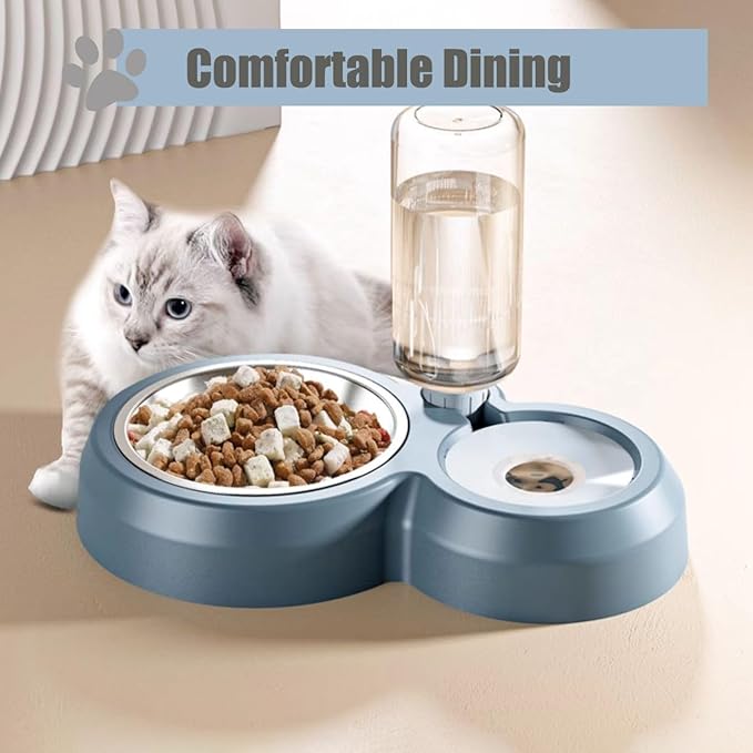 Double Dog Cat Bowls, Cat Food and Water Bowl Set - Image 6