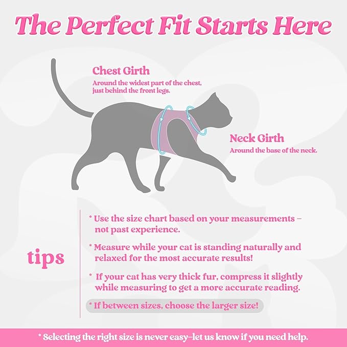 rabbitgoo Cat Harness and Leash, Step-in Escape Proof Kitten Harness Set - Image 2
