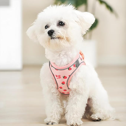 Step in Dog Harness and Leash Set, Flower Adjustable Easy Walk Puppy Harnesses - Image 5