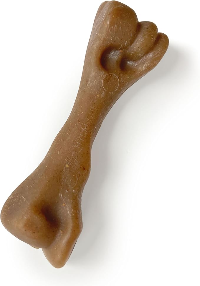 Nylabone Strong Chew Femur Bone Dog Toy Made - Image 8