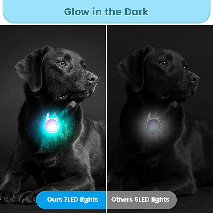 2Pack Dog Lights for Night Walking Dog Collar Light Clip on Glow in The Dark - Image 3