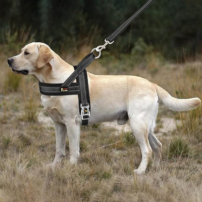 Plutus Pet No Pull Dog Harness - Image 5