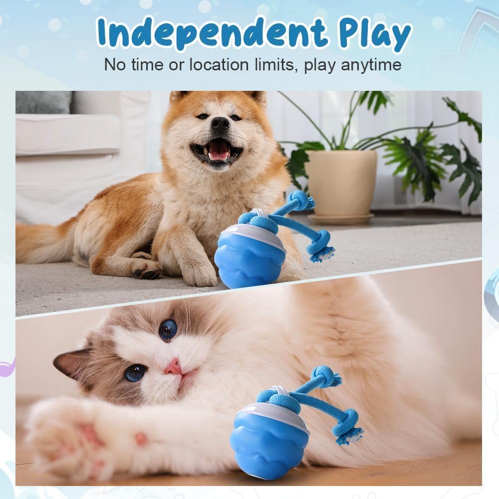 2026 New Interactive Pet Toy Ball, Smart Interactive Toy Ball for Cats & Dogs, Electric Rolling Pet Toy Ball, Rechargeable Interactive Cat Toys for Bored Indoor Cats Kittens to Keep Busy (Blue)