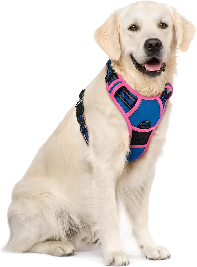 rabbitgoo Dog Harness No Pull by rabbitgoo