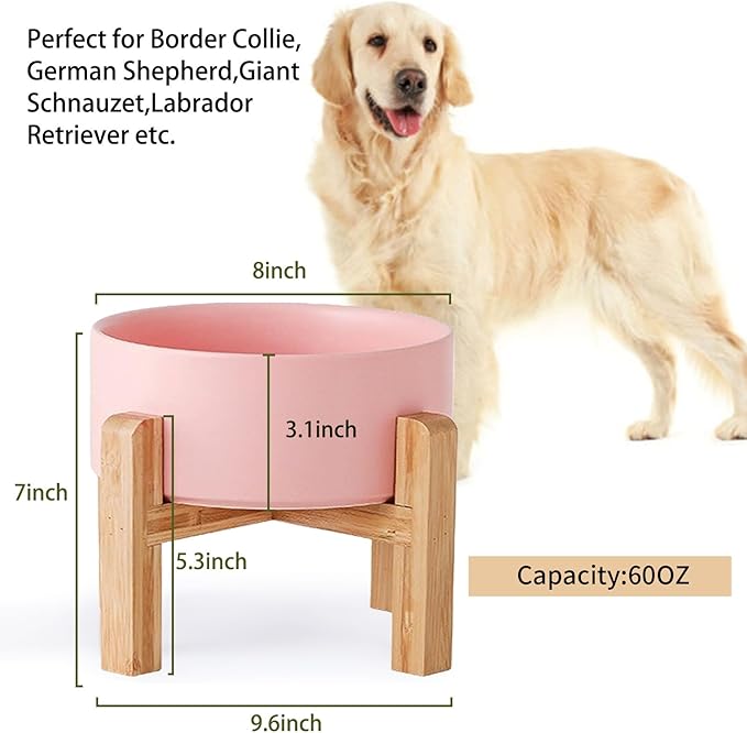 Petygooing Pink Elevated/Raised Ceramic Dog Bowl - Image 3