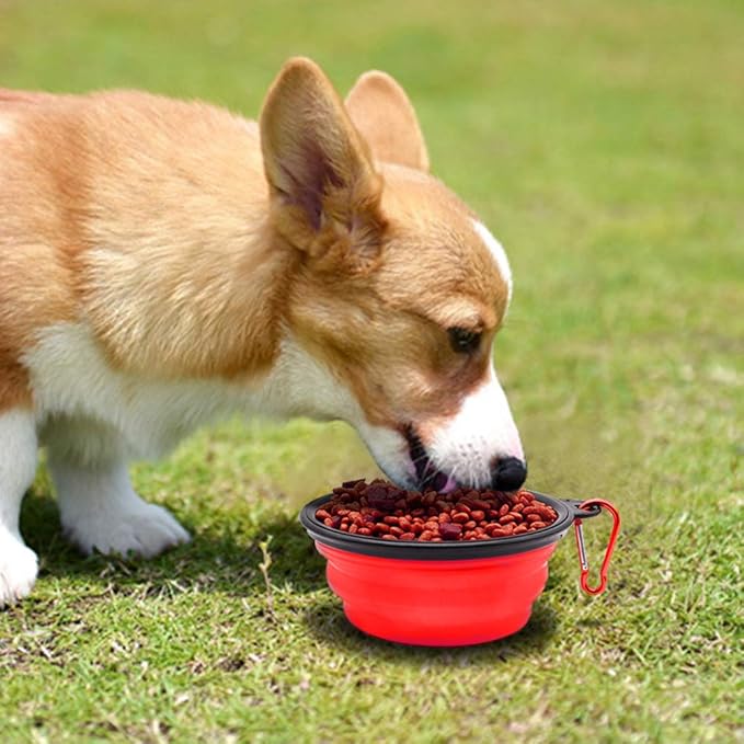 Dog Bowl Pet Collapsible Bowls, 2 Pack Collapsible Dog Water Bowls - Image 2
