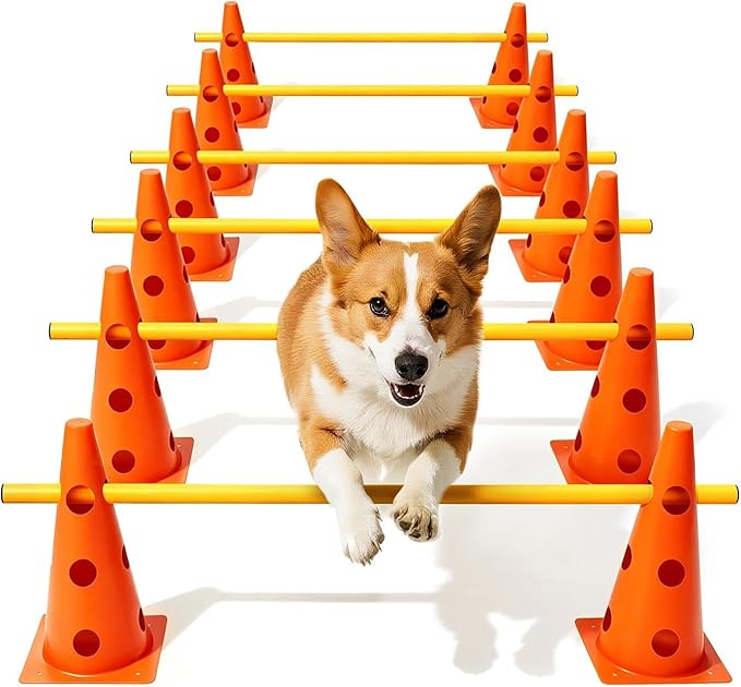 Dog Agility Course Backyard Set, Dog Agility Hurdle Cone Set by Lupar