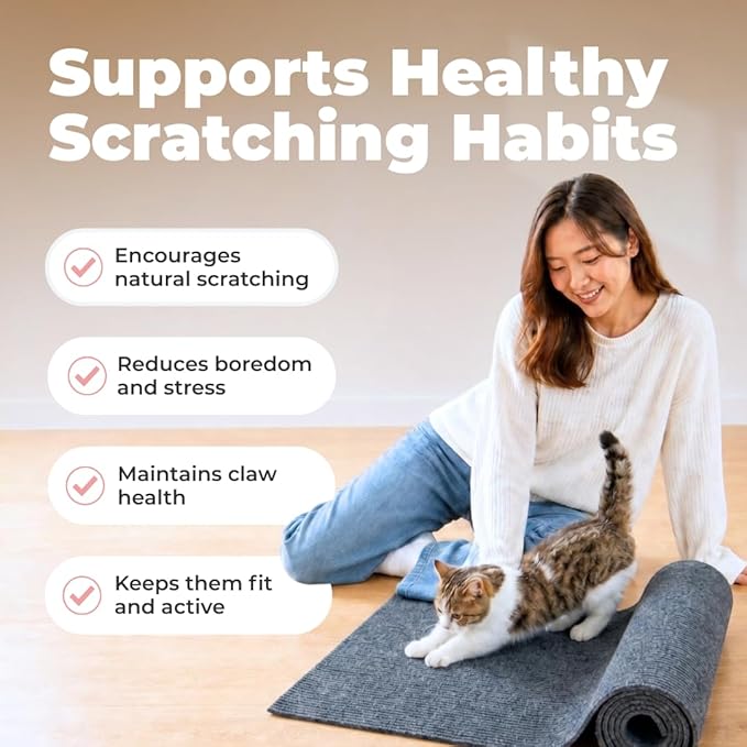 Best Pet Supplies Catify Cat Scratcher, Fun Interactive Scratchers, Claw Safe - Image 3