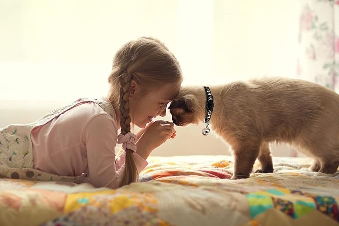 Baeuppit 2PCS Breakaway Cat Collars - Image 6