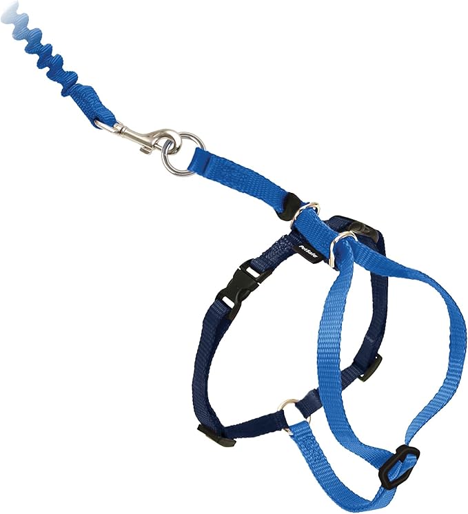 PetSafe Come with Me Kitty Harness and Bungee Leash Adjustable, Lightweight by PetSafe