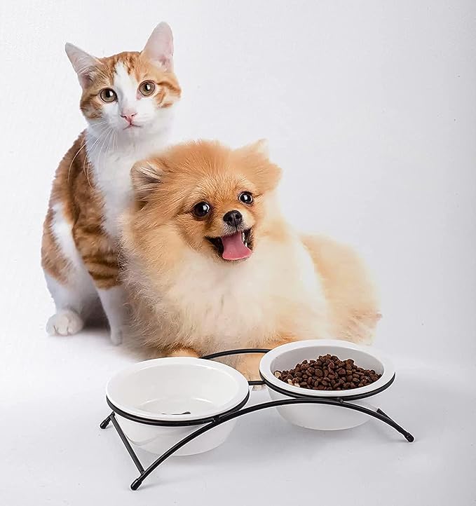 Cat & Dog Bowls - Image 5
