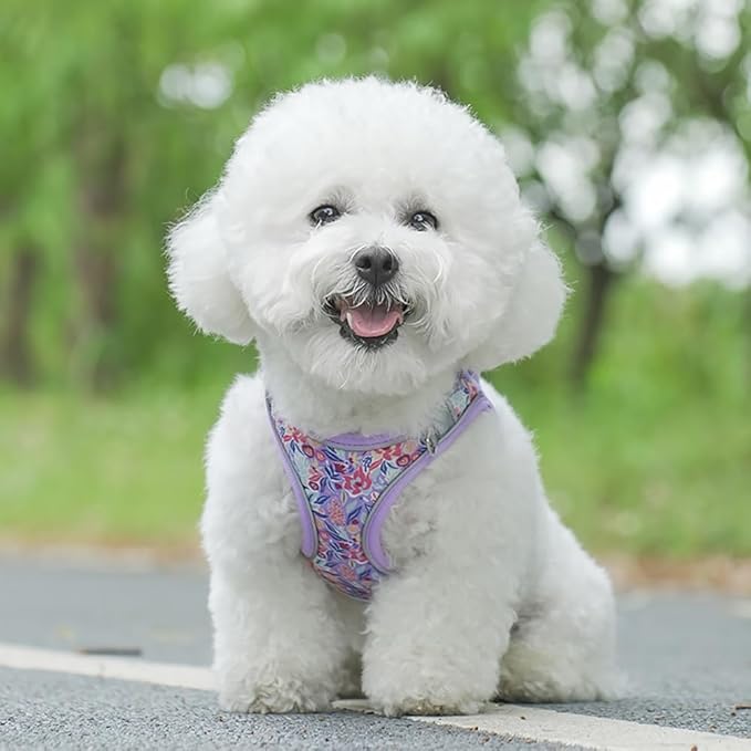 Step in Dog Harness and Leash Set, Flower Adjustable Easy Walk Puppy Harnesses - Image 6