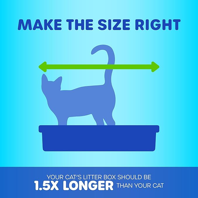 Petmate Basic Open Cat Litter Pan, Made in USA, 14.5" x 10.5" x 3.5", Small - Image 9